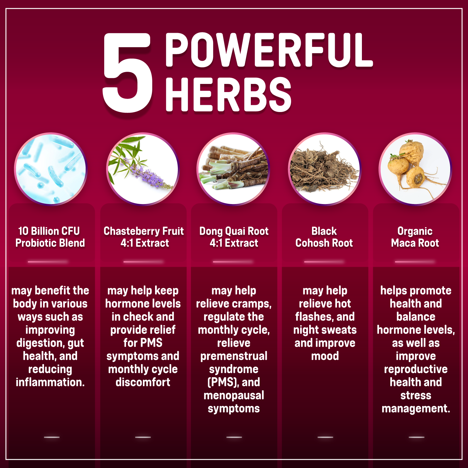 Hormone Balance + Probiotics